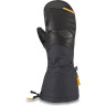 Варежки DAKINE TEAM CONTINENTAL GORE-TEX MITT LOUIF PARADIS Размер M 10002540 (0610934300284)