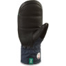 Варежки DAKINE TEAM FILLMORE MITT LOUIF PARADIS W19 Размер L 10001996 (0610934238389)